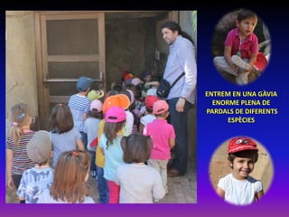 ENTREM EN UNA GÀVIA
ENORME PLENA DE
PARDALS DE DIFERENTS
ESPÈCIES

 