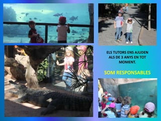 ELS TUTORS ENS AJUDEN
ALS DE 3 ANYS EN TOT
MOMENT.

SOM RESPONSABLES

 