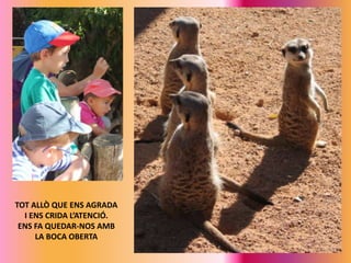 TOT ALLÒ QUE ENS AGRADA
I ENS CRIDA L’ATENCIÓ.
ENS FA QUEDAR-NOS AMB
LA BOCA OBERTA

 