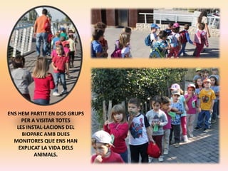 ENS HEM PARTIT EN DOS GRUPS
PER A VISITAR TOTES
LES INSTAL·LACIONS DEL
BIOPARC AMB DUES
MONITORES QUE ENS HAN
EXPLICAT LA VIDA DELS
ANIMALS.

 