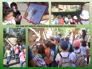 ENS HAN FET MOLTES PREGUNTES RELACIONADES EN ANIMALS

 