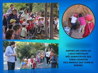 AMPARO ENS CONTA LES
CARACTERÍSTIQUES
MÉS SIGNIFICATIVES QUE
TENEN CADASCÚN
DELS ANIMALS QUE VIUEN AL
BIOPARC

 