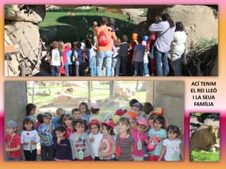 ACÍ TENIM
EL REI LLEÓ
I LA SEUA
FAMÍLIA

 