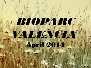 BIOPARC
VALENCIA
April 2014
 