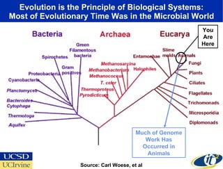 Evolution is the Principle of Biological Systems: Most of Evolutionary Time Was in the Microbial World Source: Carl Woese, et al You Are Here Much of Genome Work Has Occurred in Animals 