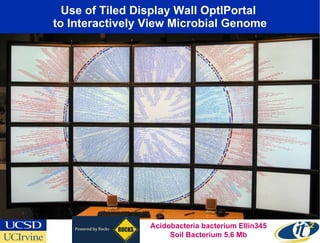 Use of Tiled Display Wall OptIPortal  to Interactively View Microbial Genome Acidobacteria bacterium Ellin345 Soil Bacterium 5.6 Mb 