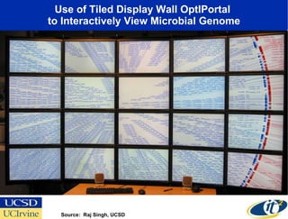 Use of Tiled Display Wall OptIPortal  to Interactively View Microbial Genome Source:  Raj Singh, UCSD 