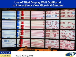 Use of Tiled Display Wall OptIPortal  to Interactively View Microbial Genome Source:  Raj Singh, UCSD 
