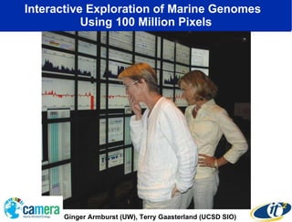 Interactive Exploration of Marine Genomes  Using 100 Million Pixels Ginger Armburst (UW), Terry Gaasterland (UCSD SIO) 
