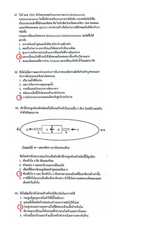 แนวเฉลยชีววิทยาPAT2ตุลาคม2559