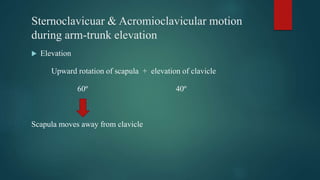 Sternoclavicuar & Acromioclavicular motion
during arm-trunk elevation
 Elevation
Upward rotation of scapula + elevation of clavicle
60º 40º
Scapula moves away from clavicle
 