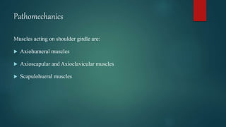 Pathomechanics
Muscles acting on shoulder girdle are:
 Axiohumeral muscles
 Axioscapular and Axioclavicular muscles
 Scapulohueral muscles
 
