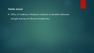 Middle deltoid
 Effect of weakness: Moderate weakness in shoulder abduction
strength and may be flexion strength also.
 