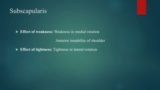 Subscapularis
 Effect of weakness: Weakness in medial rotation
Anterior instability of shoulder
 Effect of tightness: Tightness in lateral rotation
 