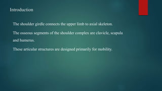 Introduction
The shoulder girdle connects the upper limb to axial skeleton.
The osseous segments of the shoulder complex are clavicle, scapula
and humerus.
These articular structures are designed primarily for mobility.
 