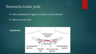 Strenoclavicular joint
 Only attachment of upper extremity to axial skeleton
 Plane synovial joint
Ligaments
 