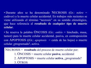 • Durante años se ha denominado NECROSIS (Gr.: nekro =
cadáver) a la muerte celular accidental. En trabajos más recientes se
viene utilizando el término “necrosis” en su sentido etimológico,
que hace referencia al resultado de cualquier tipo de muerte
celular.
• Se reserva la palabra ONCOSIS (Gr.: onkós = hinchado, masa,
tumor) para la muerte celular accidental, pasiva, en contraposición
con APOPTOSIS ((Gr.: apoptosis = caída de las hojas) o muerte
celular ¿programada?, activa.
NECROSIS = resultado del proceso de muerte celular por:
1. ONCOSIS = muerte celular pasiva, accidental
2. APOPTOSIS = muerte celular activa, ¿programada?
3. OTROS
 