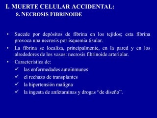 I. MUERTE CELULAR ACCIDENTAL:
8. NECROSIS FIBRINOIDE
• Sucede por depósitos de fibrina en los tejidos; esta fibrina
provoca una necrosis por isquemia tisular.
• La fibrina se localiza, principalmente, en la pared y en los
alrededores de los vasos: necrosis fibrinoide arteriolar.
• Característica de:
 las enfermedades autoinmunes
 el rechazo de transplantes
 la hipertensión maligna
 la ingesta de anfetaminas y drogas “de diseño”.
 