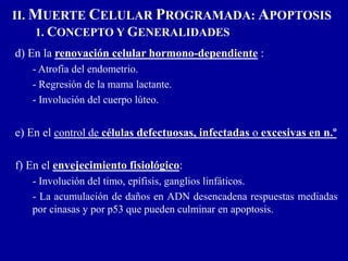 II. MUERTE CELULAR PROGRAMADA: APOPTOSIS
1. CONCEPTO Y GENERALIDADES
d) En la renovación celular hormono-dependiente :
- Atrofia del endometrio.
- Regresión de la mama lactante.
- Involución del cuerpo lúteo.
e) En el control de células defectuosas, infectadas o excesivas en n.º
f) En el envejecimiento fisiológico:
- Involución del timo, epífisis, ganglios linfáticos.
- La acumulación de daños en ADN desencadena respuestas mediadas
por cinasas y por p53 que pueden culminar en apoptosis.
 
