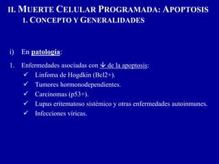II. MUERTE CELULAR PROGRAMADA: APOPTOSIS
1. CONCEPTO Y GENERALIDADES
i) En patología:
1. Enfermedades asociadas con  de la apoptosis:
 Linfoma de Hogdkin (Bcl2+).
 Tumores hormonodependientes.
 Carcinomas (p53+).
 Lupus eritematoso sistémico y otras enfermedades autoinmunes.
 Infecciones víricas.
 
