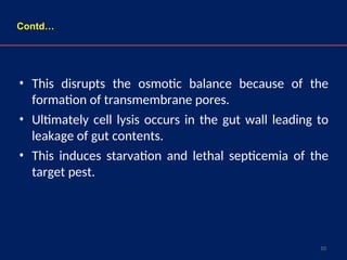 10
• This disrupts the osmotic balance because of the
formation of transmembrane pores.
• Ultimately cell lysis occurs in the gut wall leading to
leakage of gut contents.
• This induces starvation and lethal septicemia of the
target pest.
Contd…
 