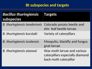 11
Bt subspecies and targets
Bacillus thuringiensis
subspecies
Targets
B. thuringiensis tenebrionis Colorado potato beetle and
elm leaf beetle larvae
B. thuringiensis kurstaki Variety of caterpillars
B. thuringiensis isralensis Mosquito, blackfly and fungus
gnat larvae
B. thuringiensis aizawai Wax moth larvae and various
caterpillars especially diamond
back moth caterpillar
 
