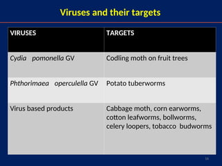 16
Viruses and their targets
VIRUSES TARGETS
Cydia pomonella GV Codling moth on fruit trees
Phthorimaea operculella GV Potato tuberworms
Virus based products Cabbage moth, corn earworms,
cotton leafworms, bollworms,
celery loopers, tobacco budworms
 