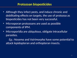 21
Protozoan biopesticides
• Although they infect pests, and induce chronic and
debilitating effects on targets, the use of protozoa as
biopesticides has not been very successful.
• Microsporan protozoans are used as possible
components of IPM.
• Microsporidia are ubiquitous, obligate intracellular
parasites.
Eg.: Nosema and Vairimorpha have some potential to
attack lepidopteran and orthopteran insects.
 