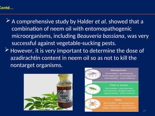 29
 However, it is very important to determine the dose of
azadirachtin content in neem oil so as not to kill the
nontarget organisms.
 A comprehensive study by Halder et al. showed that a
combination of neem oil with entomopathogenic
microorganisms, including Beauveria bassiana, was very
successful against vegetable-sucking pests.
Contd…
 