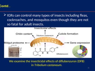 31
 IGRs can control many types of insects including fleas,
cockroaches, and mosquitos even though they are not
so fatal for adult insects.
Contd…
We examine the insecticidal effects of diflubenzuron (DFB)
in Tribolium castaneum.
 