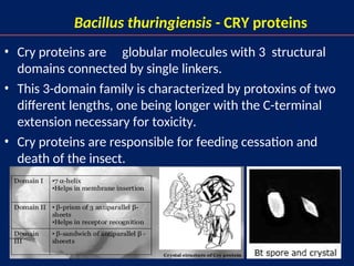 6
Bacillus thuringiensis - CRY proteins
• Cry proteins are globular molecules with 3 structural
domains connected by single linkers.
• This 3-domain family is characterized by protoxins of two
different lengths, one being longer with the C-terminal
extension necessary for toxicity.
• Cry proteins are responsible for feeding cessation and
death of the insect.
 