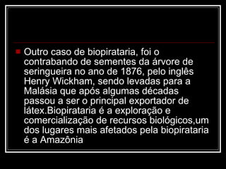 Outro caso de biopirataria, foi o contrabando de sementes da árvore de seringueira no ano de 1876, pelo inglês Henry Wickham, sendo levadas para a Malásia que após algumas décadas passou a ser o principal exportador de látex.Biopirataria é a exploração e comercialização de recursos biológicos,um dos lugares mais afetados pela biopirataria é a Amazônia  
