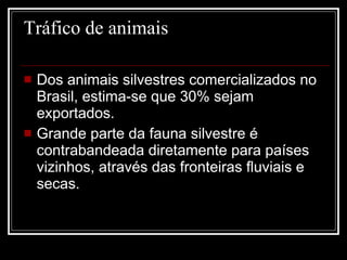 Tráfico de animais Dos animais silvestres comercializados no Brasil, estima-se que 30% sejam exportados.  Grande parte da fauna silvestre é contrabandeada diretamente para países vizinhos, através das fronteiras fluviais e secas.  