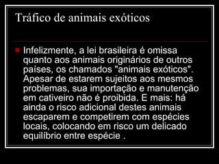 Tráfico de animais exóticos Infelizmente, a lei brasileira é omissa quanto aos animais originários de outros países, os chamados "animais exóticos". Apesar de estarem sujeitos aos mesmos problemas, sua importação e manutenção em cativeiro não é proibida. E mais: há ainda o risco adicional destes animais escaparem e competirem com espécies locais, colocando em risco um delicado equilíbrio entre espécie . 