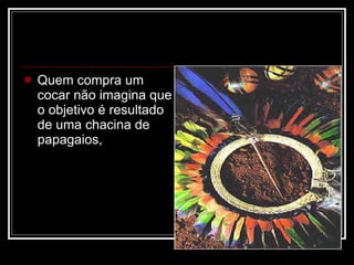 Quem compra um cocar não imagina que o objetivo é resultado de uma chacina de papagaios, 