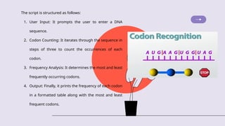 The script is structured as follows:
1. User Input: It prompts the user to enter a DNA
sequence.
2. Codon Counting: It iterates through the sequence in
steps of three to count the occurrences of each
codon.
3. Frequency Analysis: It determines the most and least
frequently occurring codons.
4. Output: Finally, it prints the frequency of each codon
in a formatted table along with the most and least
frequent codons.
 