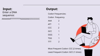 Input:
Enter a DNA
sequence:
AAAAAAATTTTTTTTTGGGGGGCCCCCCCCC
Output:
Codon Frequencies:
Codon Frequency
AAA 2
ATT 1
CCC 2
GCC 1
GGG 1
TGG 1
TTT 2
Most Frequent Codon: CCC (2 times)
Least Frequent Codon: GCC (1 times)
 