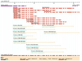 BioPerl: The evolution of a Bioinformatics Toolkit