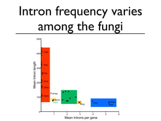 BioPerl: The evolution of a Bioinformatics Toolkit