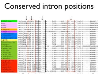 BioPerl: The evolution of a Bioinformatics Toolkit