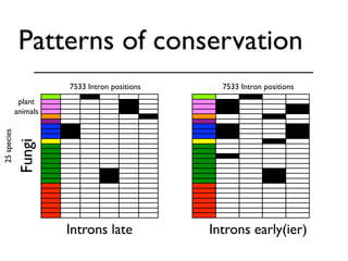 BioPerl: The evolution of a Bioinformatics Toolkit