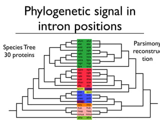 BioPerl: The evolution of a Bioinformatics Toolkit