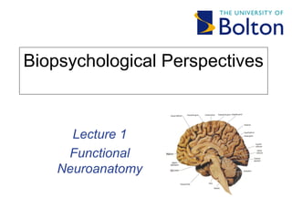 Biopsychological Perspectives
Lecture 1
Functional
Neuroanatomy
 
