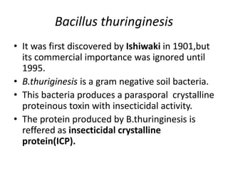 Bacillus thuringinesis
• It was first discovered by Ishiwaki in 1901,but
its commercial importance was ignored until
1995.
• B.thuriginesis is a gram negative soil bacteria.
• This bacteria produces a parasporal crystalline
proteinous toxin with insecticidal activity.
• The protein produced by B.thuringinesis is
reffered as insecticidal crystalline
protein(ICP).
 