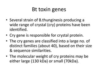 Bt toxin genes
• Several strain of B.thunginesis producing a
wide range of crystal (cry) proteins have been
identified.
• Cry gene is responsible for crystal protein.
• The cry genes are classified into a large no. of
distinct families (about 40), based on their size
& sequence similarities.
• The molecular weight of cry proteins may be
either large (130 kDa) or small (70kDa).
 