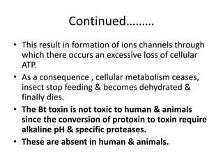 Continued………
• This result in formation of ions channels through
which there occurs an excessive loss of cellular
ATP.
• As a consequence , cellular metabolism ceases,
insect stop feeding & becomes dehydrated &
finally dies.
• The Bt toxin is not toxic to human & animals
since the conversion of protoxin to toxin require
alkaline pH & specific proteases.
• These are absent in human & animals.
 