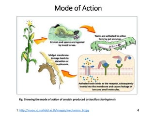 Protozoan Insecticide Biopesticide | PPTX