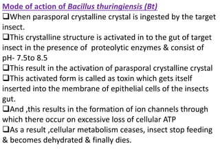 Mode of action of Bacillus thuringiensis (Bt)
When parasporal crystalline crystal is ingested by the target
insect.
This crystalline structure is activated in to the gut of target
insect in the presence of proteolytic enzymes & consist of
pH- 7.5to 8.5
This result in the activation of parasporal crystalline crystal
This activated form is called as toxin which gets itself
inserted into the membrane of epithelial cells of the insects
gut.
And ,this results in the formation of ion channels through
which there occur on excessive loss of cellular ATP
As a result ,cellular metabolism ceases, insect stop feeding
& becomes dehydrated & finally dies.
 