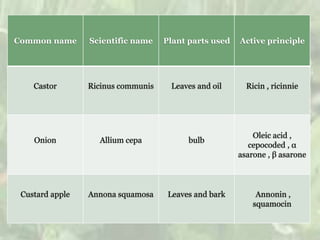 Common name Scientific name Plant parts used Active principle
Castor Ricinus communis Leaves and oil Ricin , ricinnie
Onion Allium cepa bulb
Oleic acid ,
cepocoded , α
asarone , β asarone
Custard apple Annona squamosa Leaves and bark Annonin ,
squamocin
 