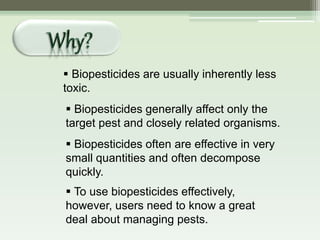  Biopesticides are usually inherently less
toxic.
 Biopesticides generally affect only the
target pest and closely related organisms.
 Biopesticides often are effective in very
small quantities and often decompose
quickly.
 To use biopesticides effectively,
however, users need to know a great
deal about managing pests.
 